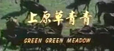 青青草原在线视频观看,青青草原在线视频精彩回顾 第2张 青青草原在线视频观看,青青草原在线视频精彩回顾 第2张